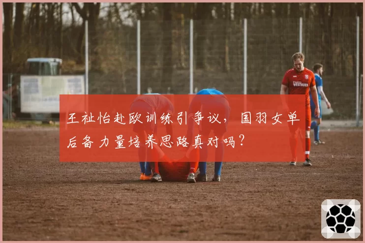 王祉怡赴欧训练引争议,国羽女单后备力量培养思路真对吗?
