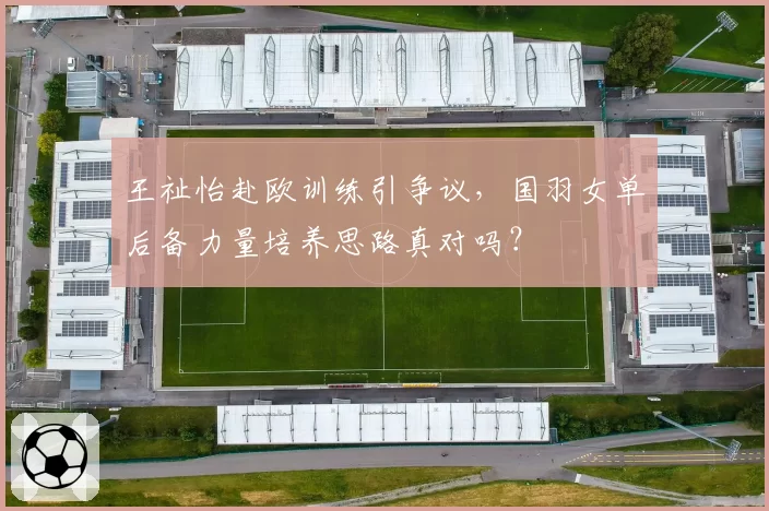 王祉怡赴欧训练引争议,国羽女单后备力量培养思路真对吗?
