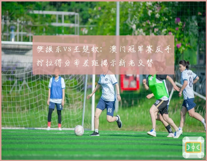樊振东vs王楚钦：澳门冠军赛反手拧拉得分率差距揭示新老交替